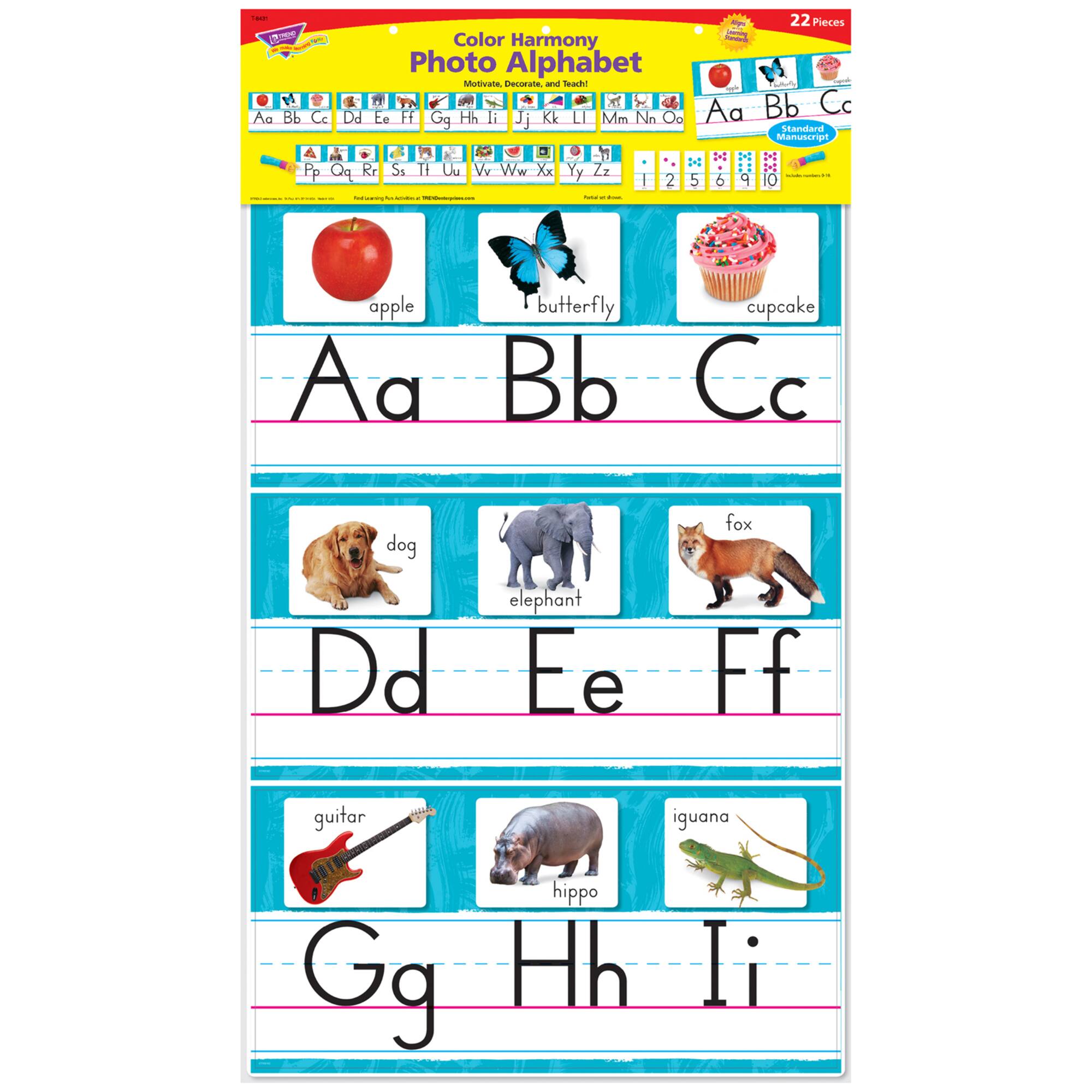 Trend Enterprises® Color Harmony Photo Alphabet Line